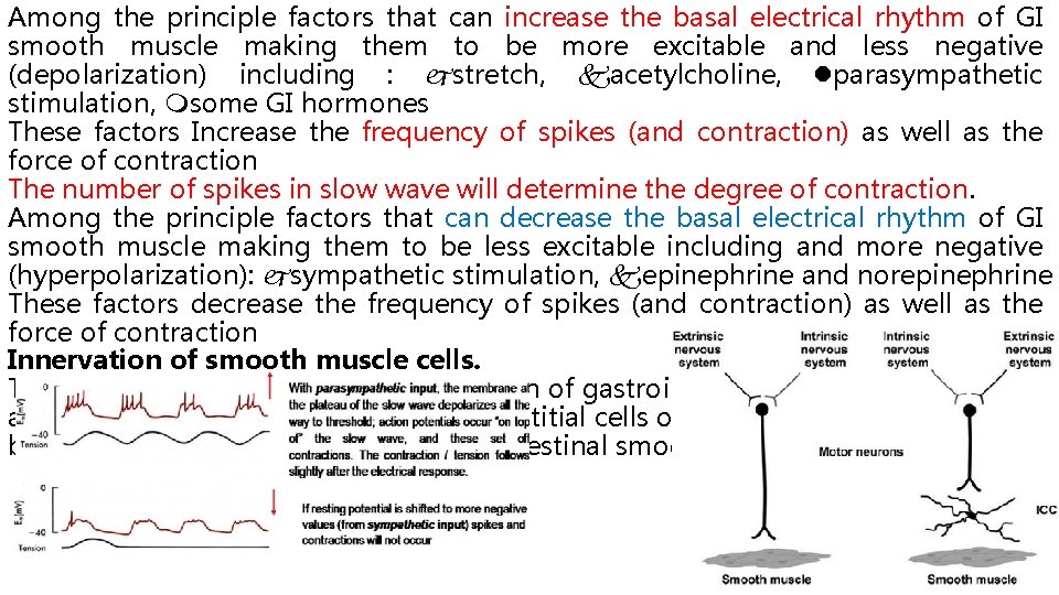 Among the principle factors that can increase the basal electrical rhythm of GI smooth