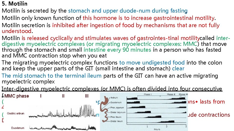 5. Motilin is secreted by the stomach and upper duode num during fasting, Motilin