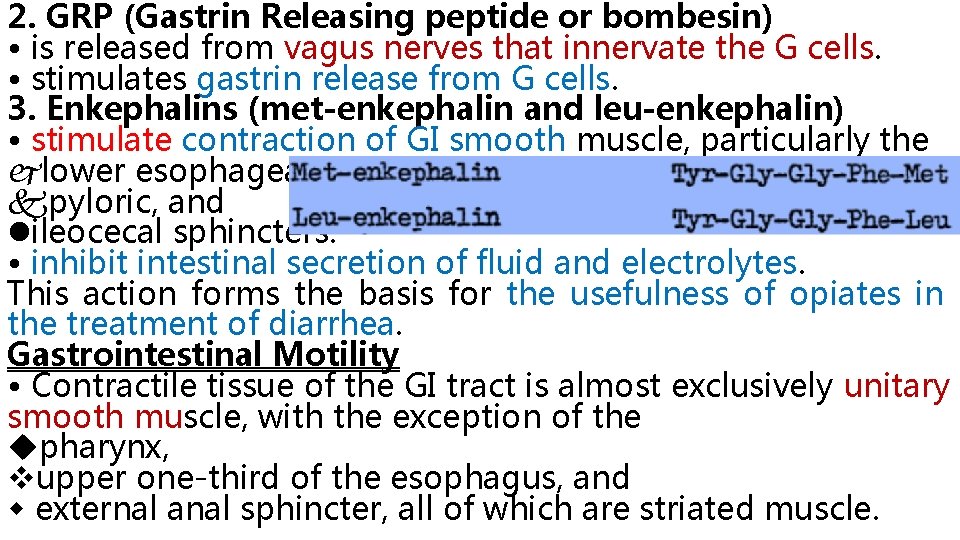 2. GRP (Gastrin Releasing peptide or bombesin) • is released from vagus nerves that