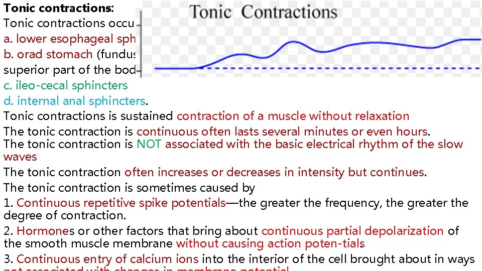 Tonic contractions: Tonic contractions occur in the a. lower esophageal sphincter, b. orad stomach