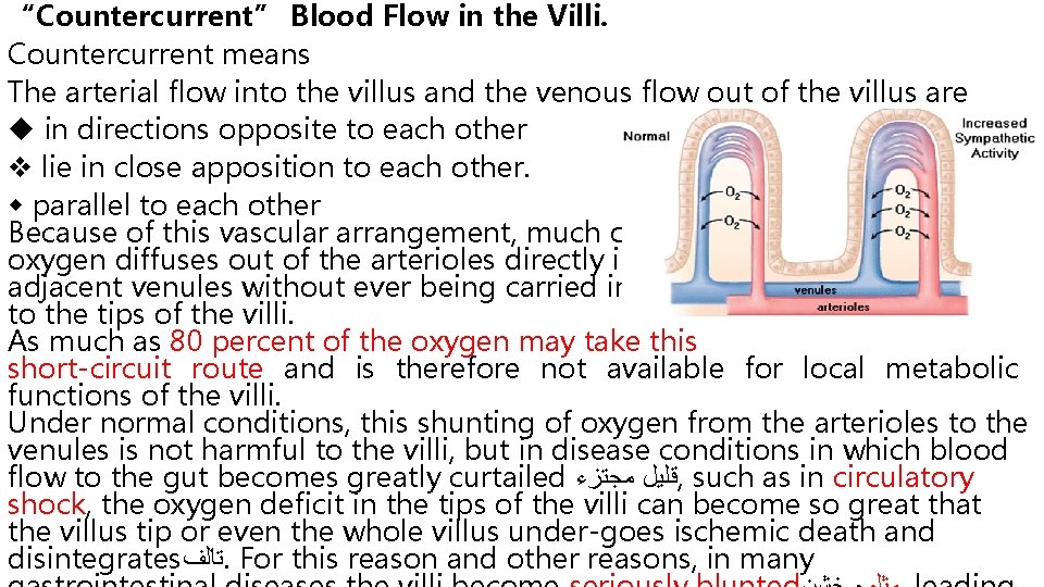 “Countercurrent” Blood Flow in the Villi. Countercurrent means The arterial flow into the villus