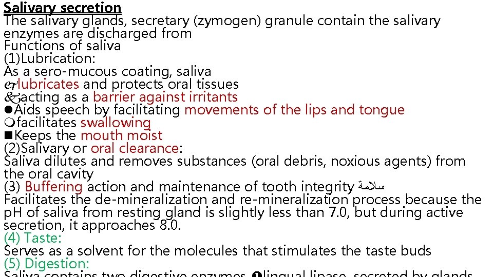 Salivary secretion The salivary glands, secretary (zymogen) granule contain the salivary enzymes are discharged