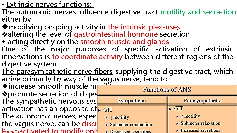  • Extrinsic nerves functions: The autonomic nerves influence digestive tract motility and secre