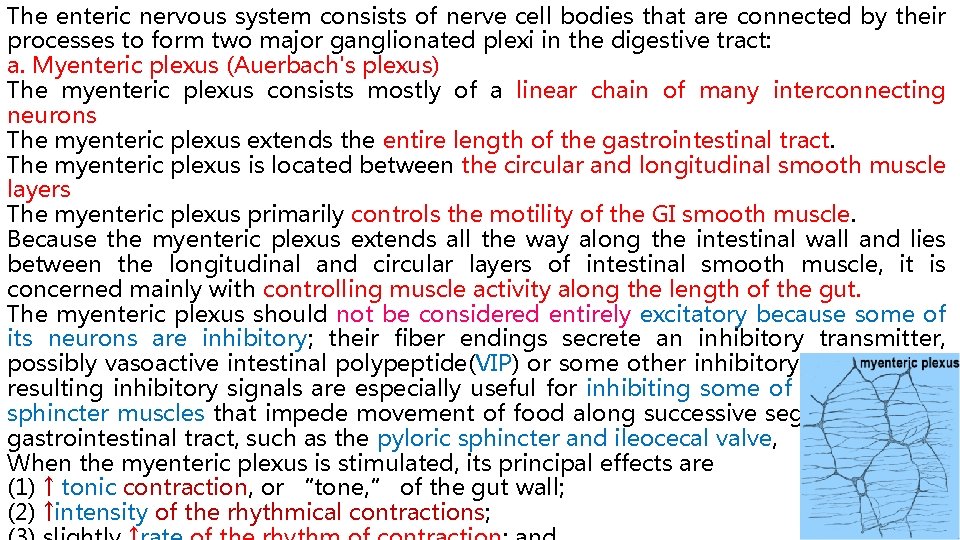 The enteric nervous system consists of nerve cell bodies that are connected by their