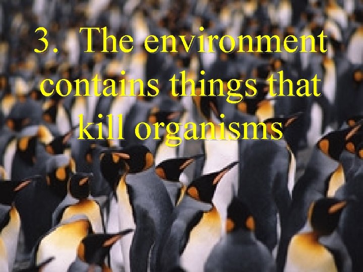 3. The environment contains things that kill organisms 3. The environment contains things that kill organisms
