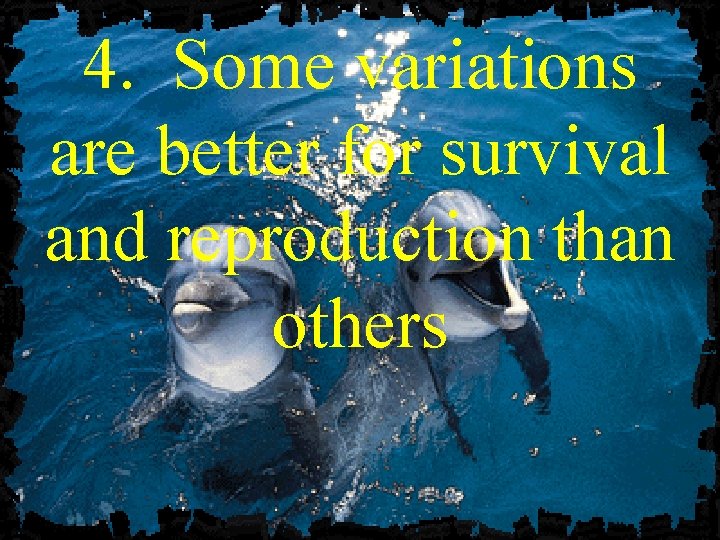 4. Some variations are better for survival and reproduction than others 4. Some variations are better for survival and reproduction than others