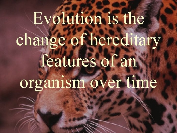 Evolution is the change of hereditary features of an organism over time Evolution is the change of hereditary features of an organism over time