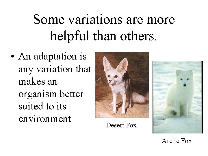 Some variations are more helpful than others. • An adaptation is any variation that Some variations are more helpful than others. • An adaptation is any variation that