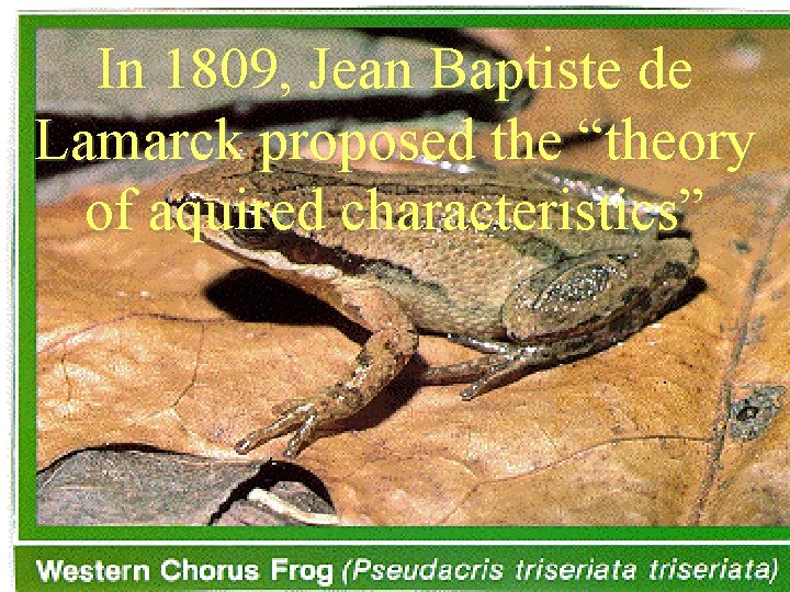 In 1809, Jean Baptiste de Lamarck proposed the “theory of aquired characteristics” In 1809, Jean Baptiste de Lamarck proposed the “theory of aquired characteristics”