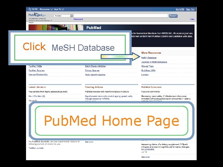 Your user name Click Me. SH Database Pub. Med Home Page 