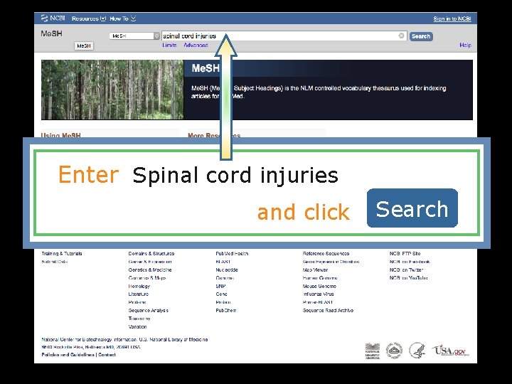 Enter Spinal cord injuries a and click Search 