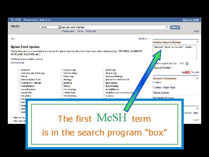 The first Me. SH term is in the search program “box” 