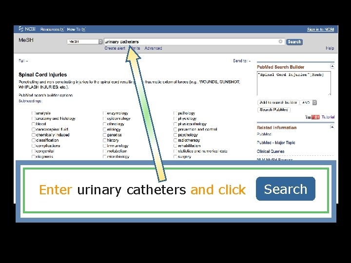 a Enter urinary catheters and click Search 