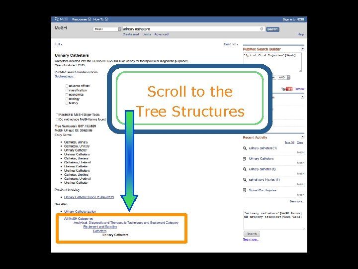 Scroll to the Tree Structures 