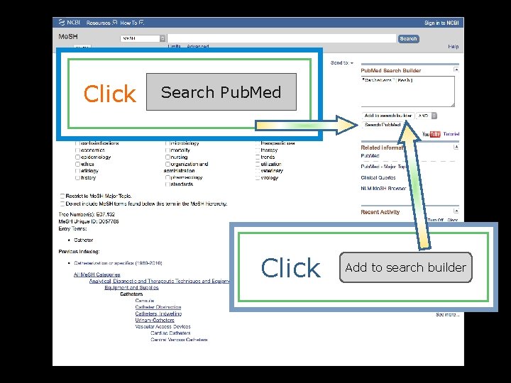 Click Search Pub. Med Click Add to search builder 