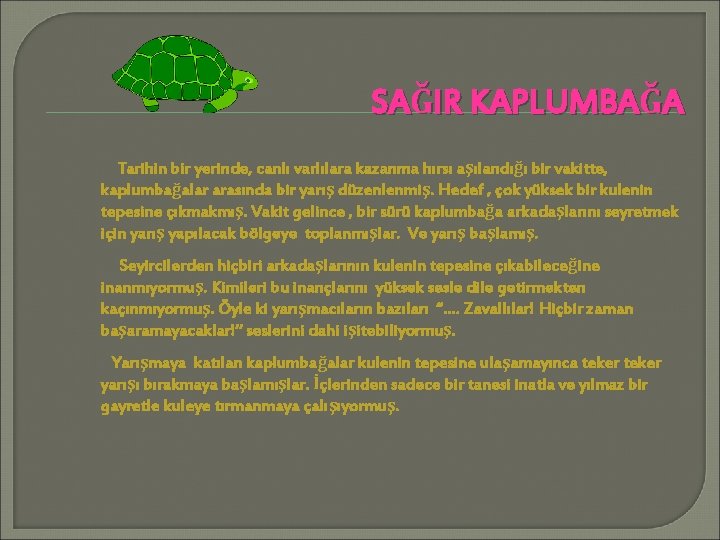 SAĞIR KAPLUMBAĞA Tarihin bir yerinde, canlı varlılara kazanma hırsı aşılandığı bir vakitte, kaplumbağalar arasında