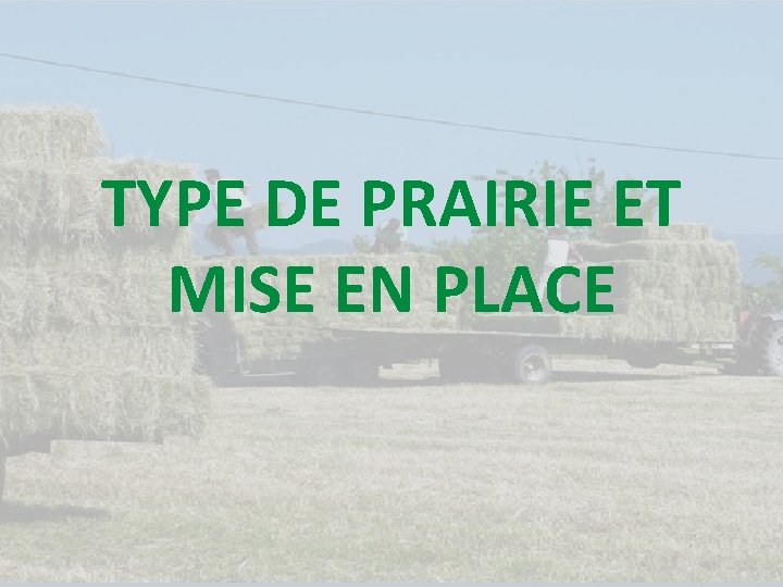 TYPE DE PRAIRIE ET MISE EN PLACE 