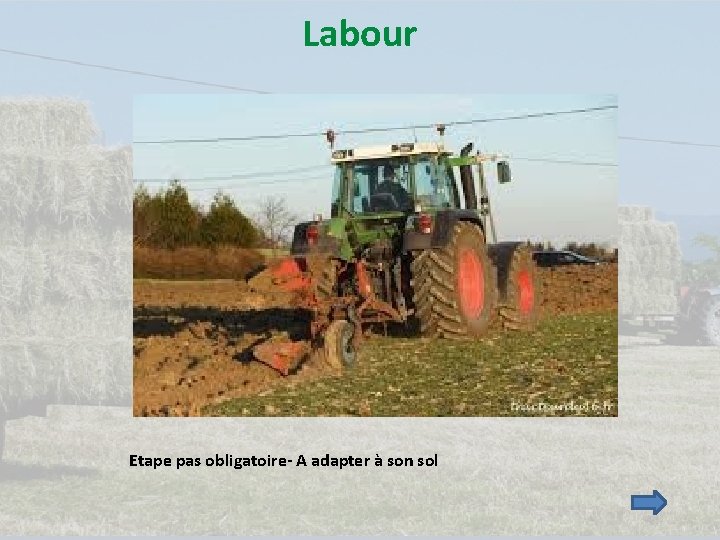 Labour Etape pas obligatoire- A adapter à son sol 