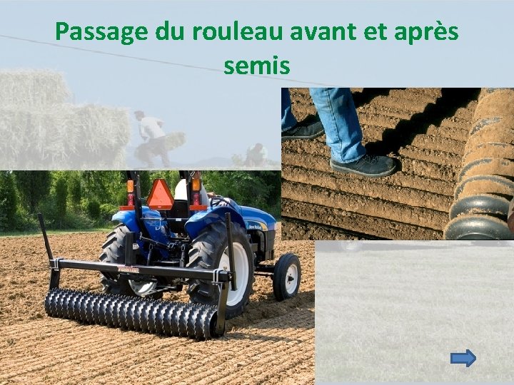 Passage du rouleau avant et après semis 