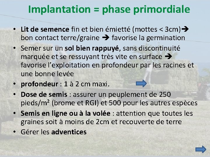  Implantation = phase primordiale • Lit de semence fin et bien émietté (mottes