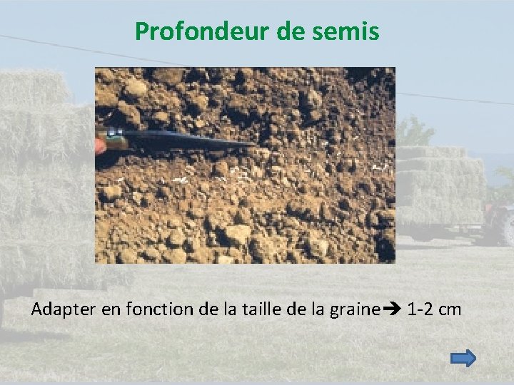 Profondeur de semis Adapter en fonction de la taille de la graine 1 -2