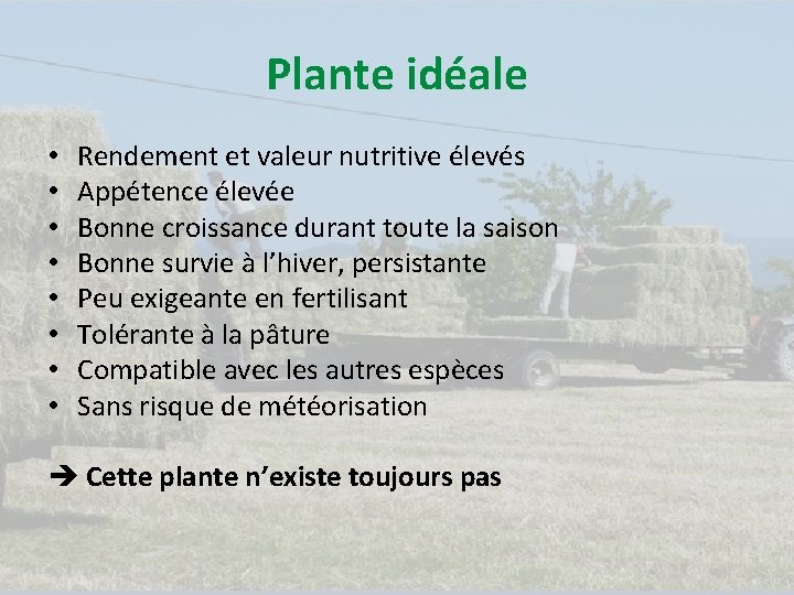 Plante idéale • • Rendement et valeur nutritive élevés Appétence élevée Bonne croissance durant