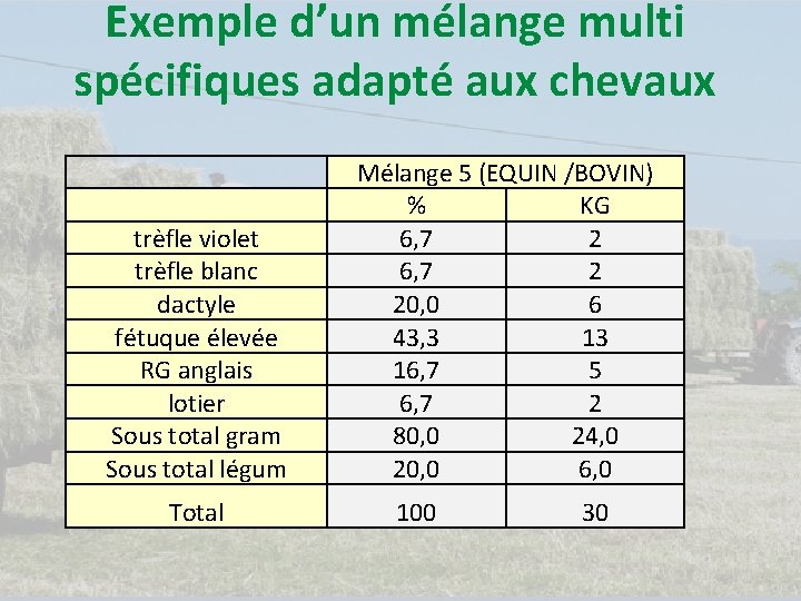 Exemple d’un mélange multi spécifiques adapté aux chevaux trèfle violet trèfle blanc dactyle fétuque