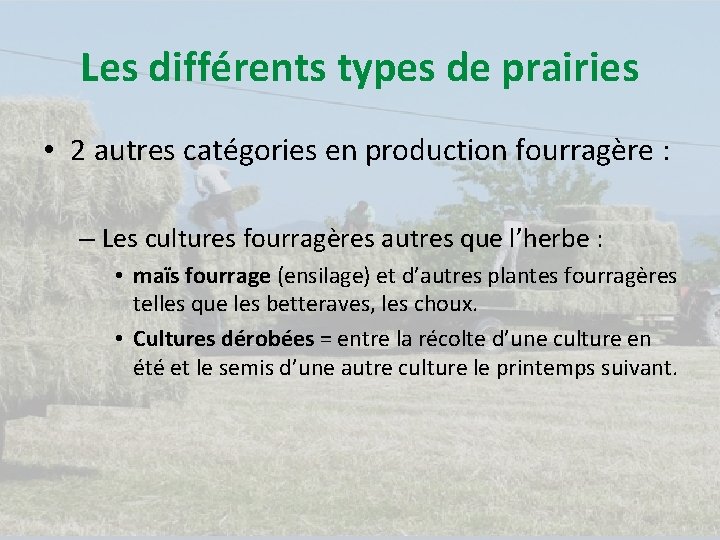 Les différents types de prairies • 2 autres catégories en production fourragère : –