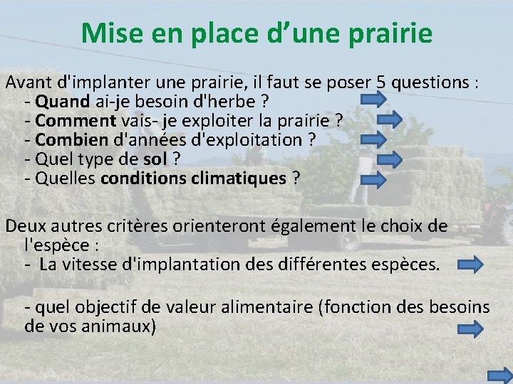 Mise en place d’une prairie Avant d'implanter une prairie, il faut se poser 5
