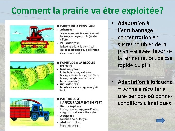 Comment la prairie va être exploitée? • Adaptation à l’enrubannage = concentration en sucres