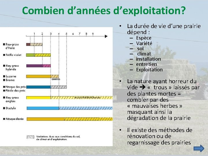 Combien d’années d’exploitation? • La durée de vie d’une prairie dépend : – –