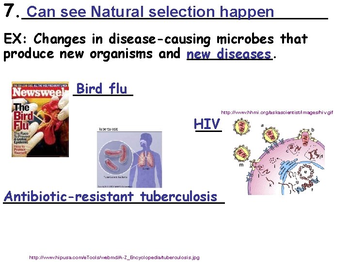 7. ______________ Can see Natural selection happen EX: Changes in disease-causing microbes that produce