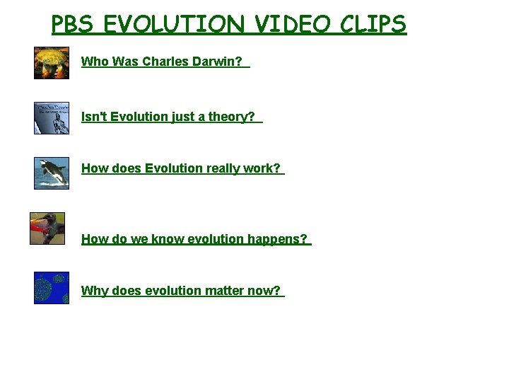 PBS EVOLUTION VIDEO CLIPS Who Was Charles Darwin? Isn't Evolution just a theory? How