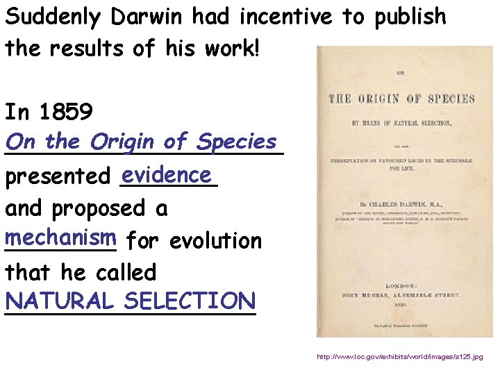 Suddenly Darwin had incentive to publish the results of his work! In 1859 On
