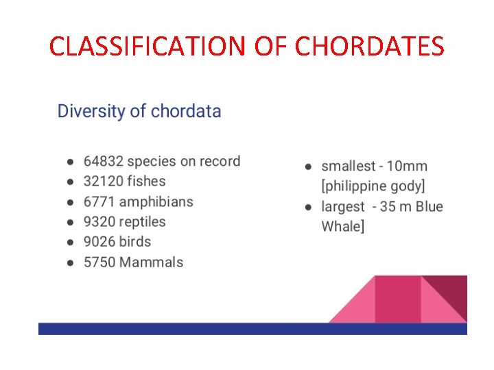 CLASSIFICATION OF CHORDATES 
