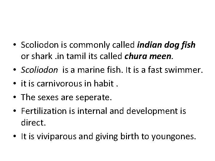  • Scoliodon is commonly called indian dog fish or shark. in tamil its