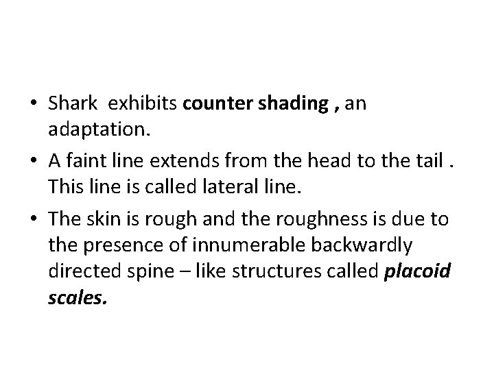  • Shark exhibits counter shading , an adaptation. • A faint line extends