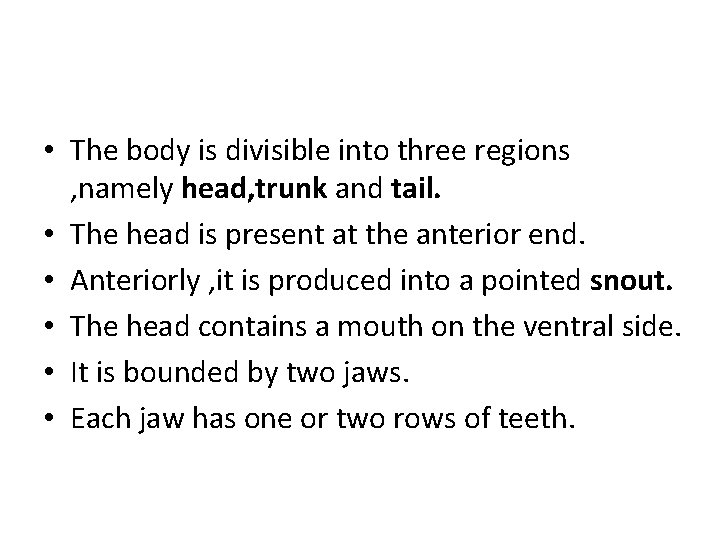  • The body is divisible into three regions , namely head, trunk and