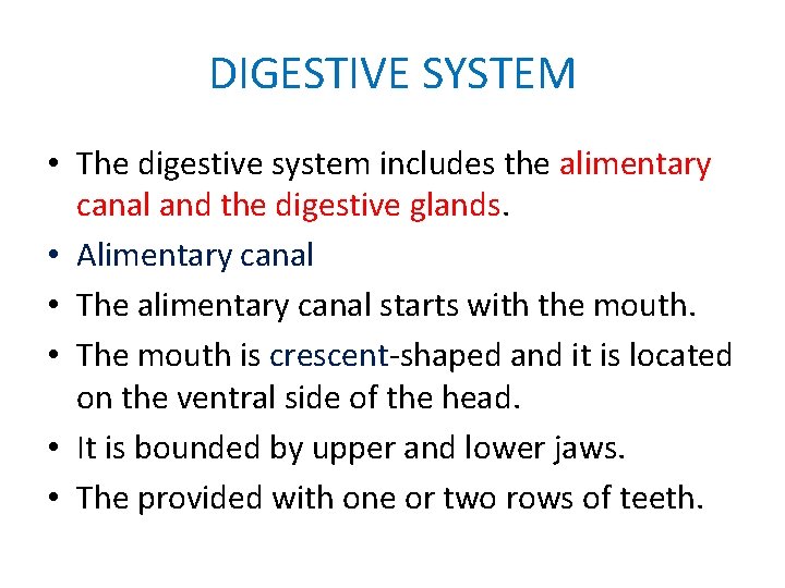 DIGESTIVE SYSTEM • The digestive system includes the alimentary canal and the digestive glands.