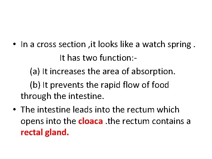  • In a cross section , it looks like a watch spring. It