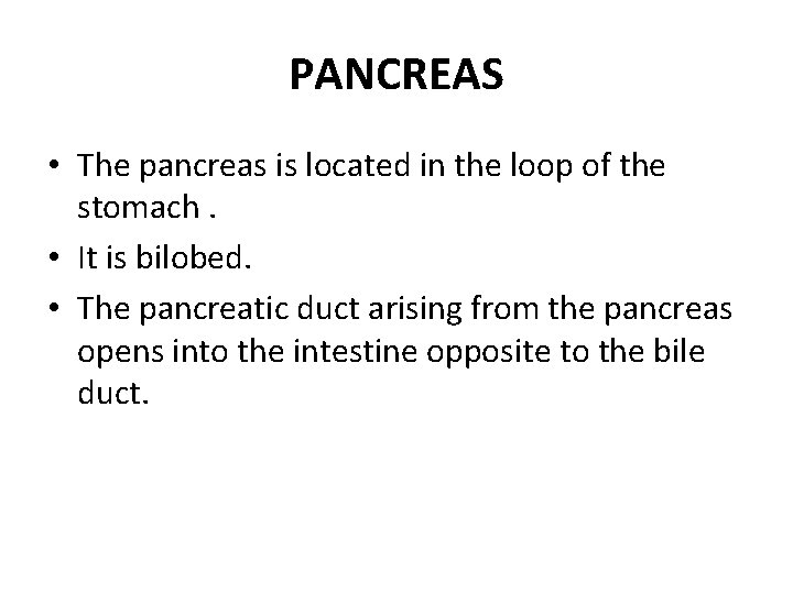 PANCREAS • The pancreas is located in the loop of the stomach. • It