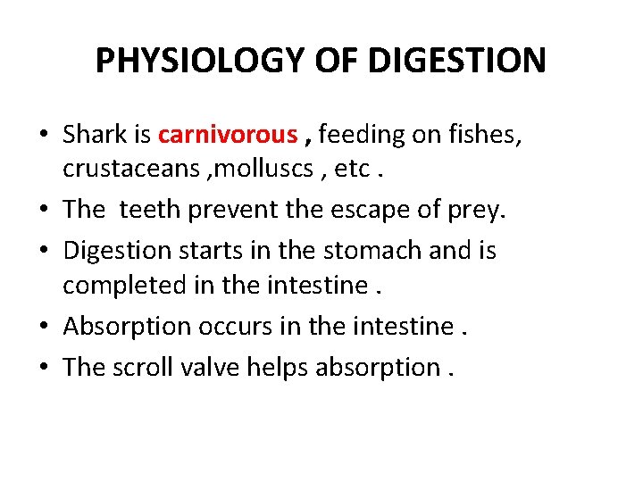 PHYSIOLOGY OF DIGESTION • Shark is carnivorous , feeding on fishes, crustaceans , molluscs