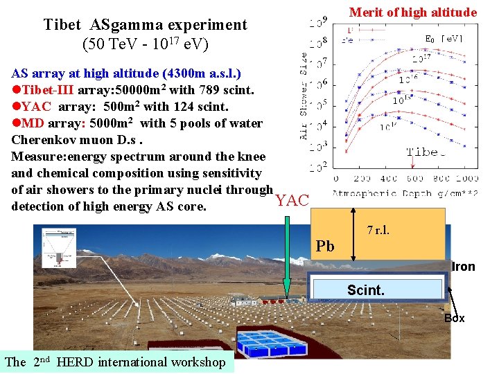 Merit of high altitude Tibet ASgamma experiment (50 Te. V - 1017 e. V)