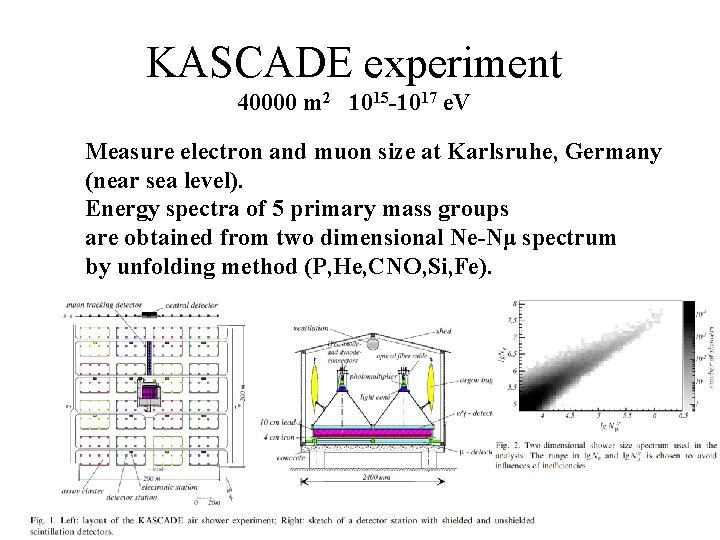 KASCADE experiment 40000 m 2 1015 -1017 e. V Measure electron and muon size