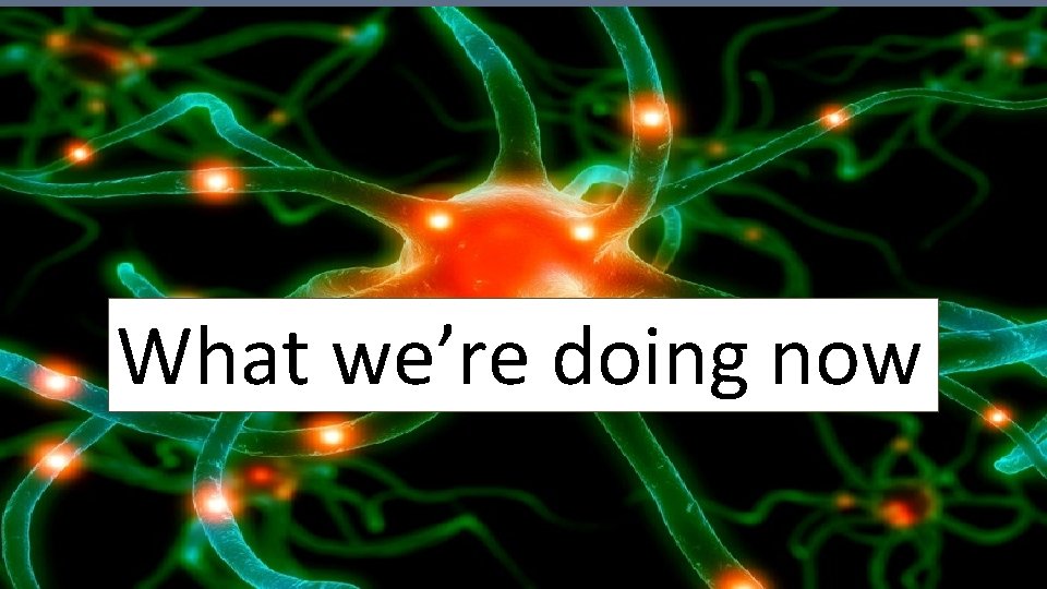 What we’re doing now Carol Lethaby and Patricia Harries, 2016 