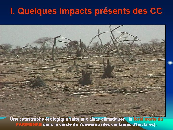 I. Quelques impacts présents des CC Une catastrophe écologique suite aux aléas climatiques :