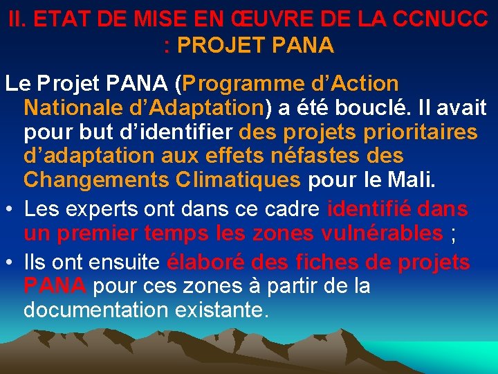 II. ETAT DE MISE EN ŒUVRE DE LA CCNUCC : PROJET PANA Le Projet