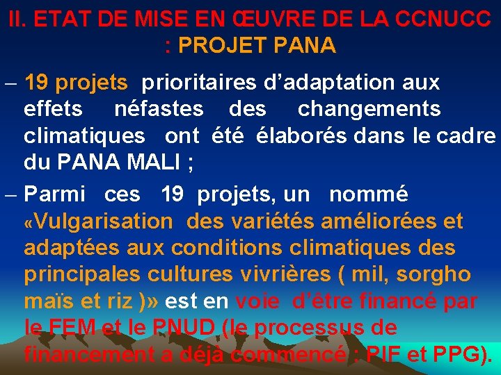 II. ETAT DE MISE EN ŒUVRE DE LA CCNUCC : PROJET PANA - 19