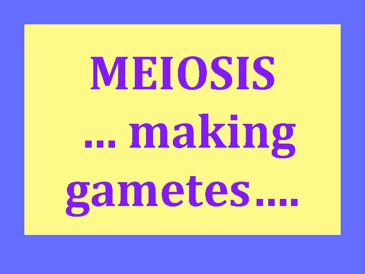 MEIOSIS … making gametes…. 