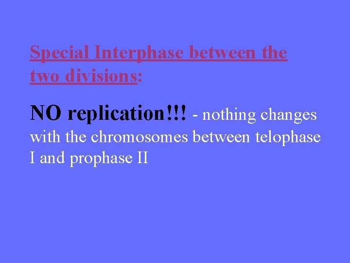 Special Interphase between the two divisions: NO replication!!! - nothing changes with the chromosomes